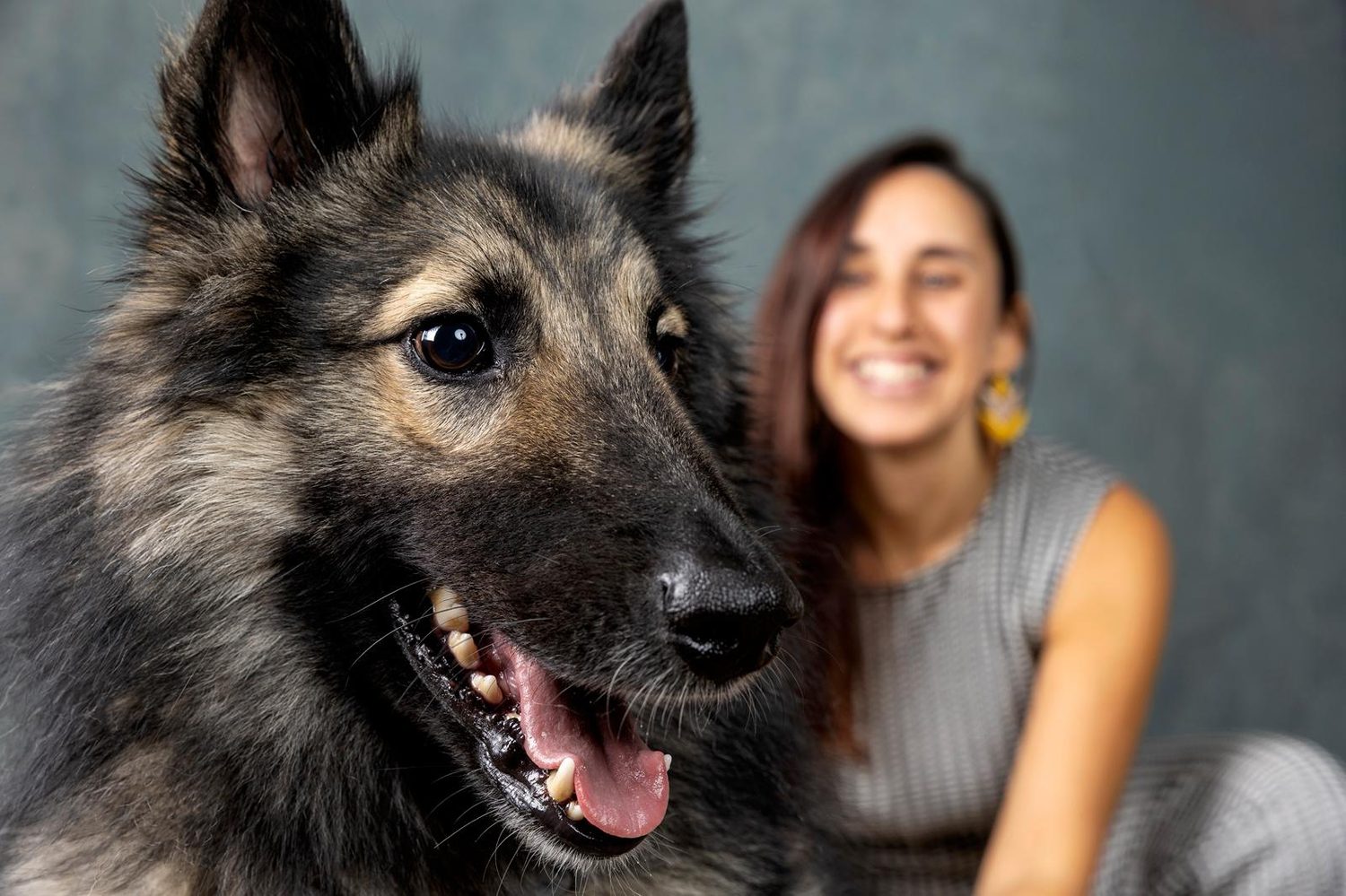 Lobito Amoroso, el lobo que escucha