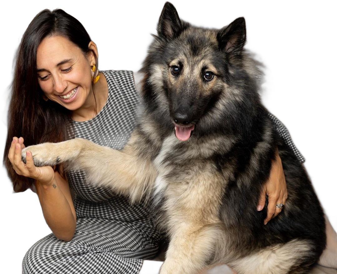 Suri con su lobo, Lobito Amoroso